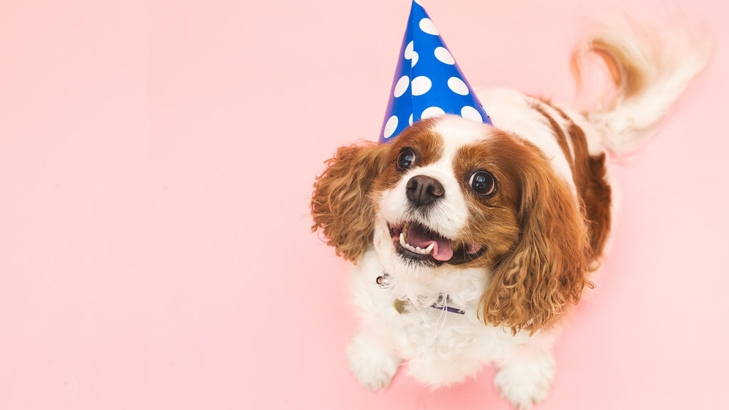 Welcome! We have all kinds of quirky and peculiar goods for the particular people in your life. Art, jewelry, clothing and custom printed items. Let us know if we can help you create something special!