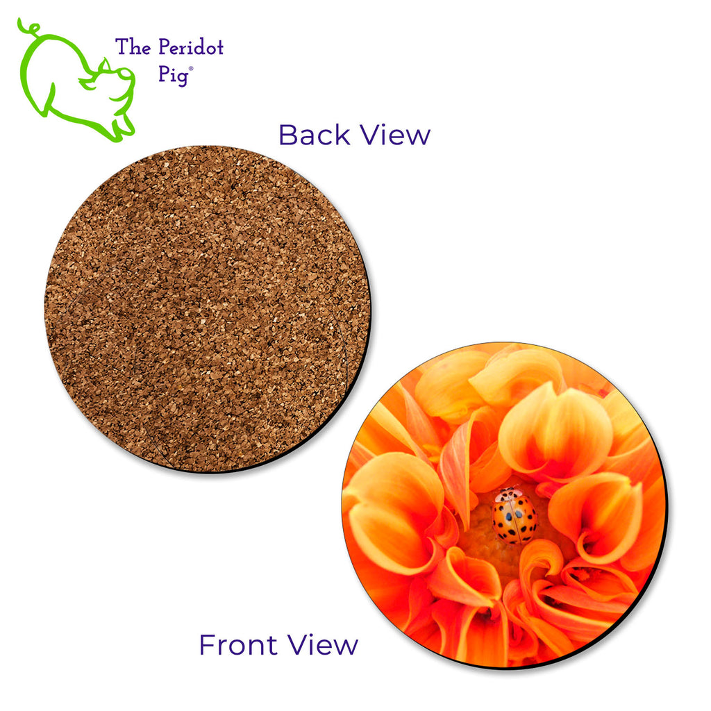 Our neighbor has been fascinated with dahlias this season. We decided to make a set of coasters to tide her over until Spring. This set of four round coasters features closeups of dahlias and each has a little insect friend. Each coaster features a different floral varietal and either a ladybug or bee. Showing the front and back view.