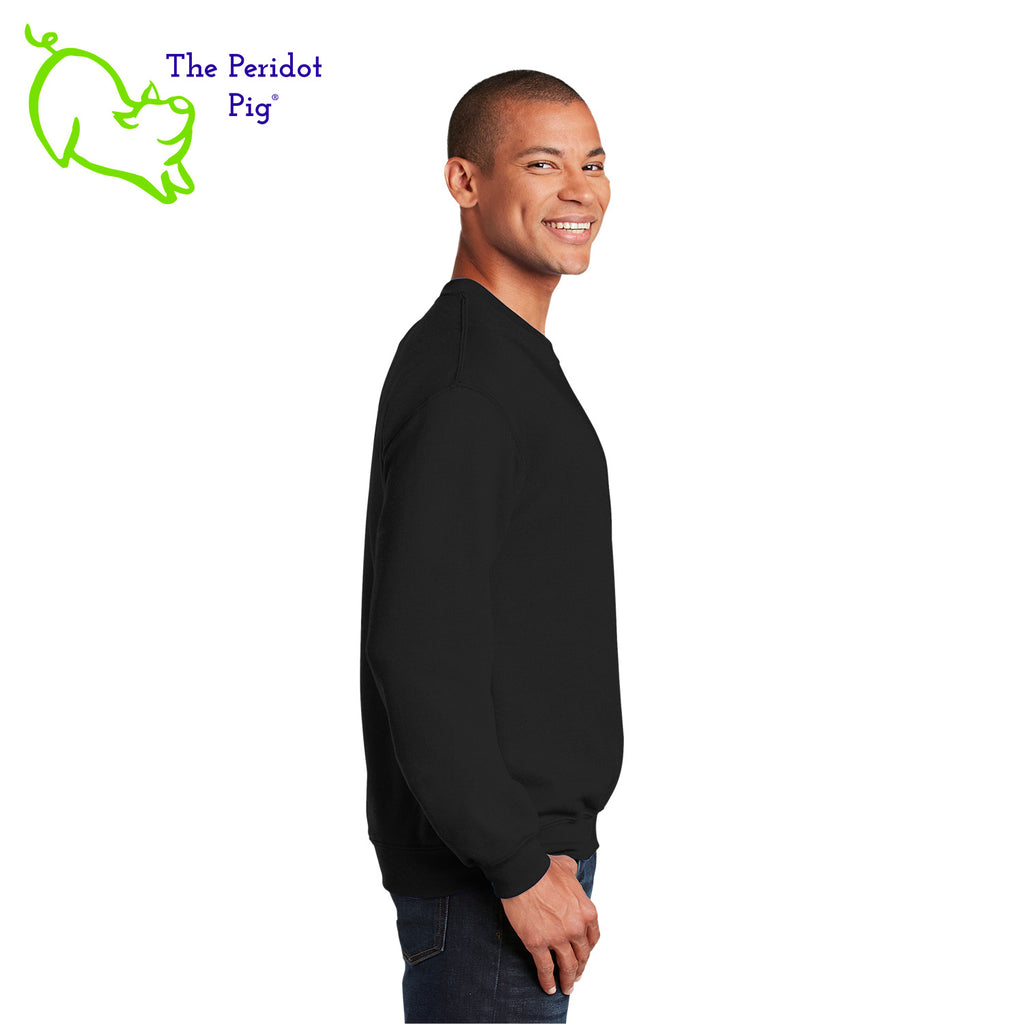 This warm, soft crewneck sweatshirt features our PI day InsPIre theme in vivid print on the front. It's available in four colors to help celebrate PI in style. Side view shown in black.