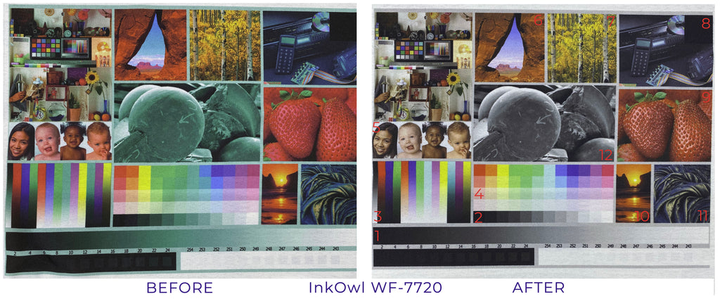 The Peridot Pig now offers a custom color profile service for sublimation printing. There's nothing worse than getting all of your equipment set up but the colors just won't come out correctly! We can help fine tune an ICC profile to work with your specific printer/ink/paper/substrate combination. Before and After images shown on 100% white polyester fabric.