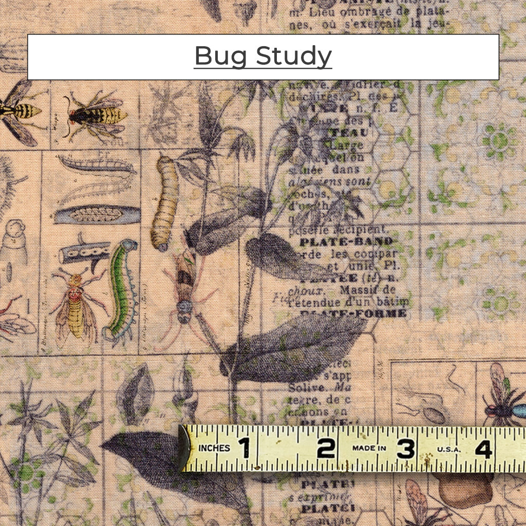 This brown toned fabric has images of insect and plant text from an etymology book. There are bees, wasps, caterpillars and flies shown with various plant samples. Called Bug Study.